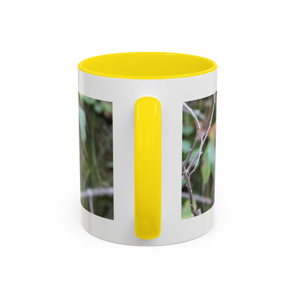 Cute Mink Photo Accent Mug – Wildlife Photography Coffee Cup (11/15 oz)