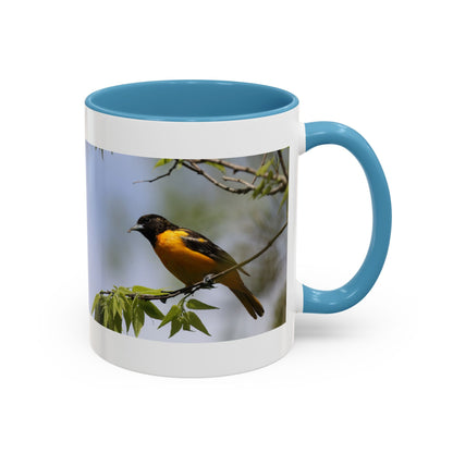 Baltimore Oriole Coffee Mug — Birdwatching Accent Mug (11/15oz)