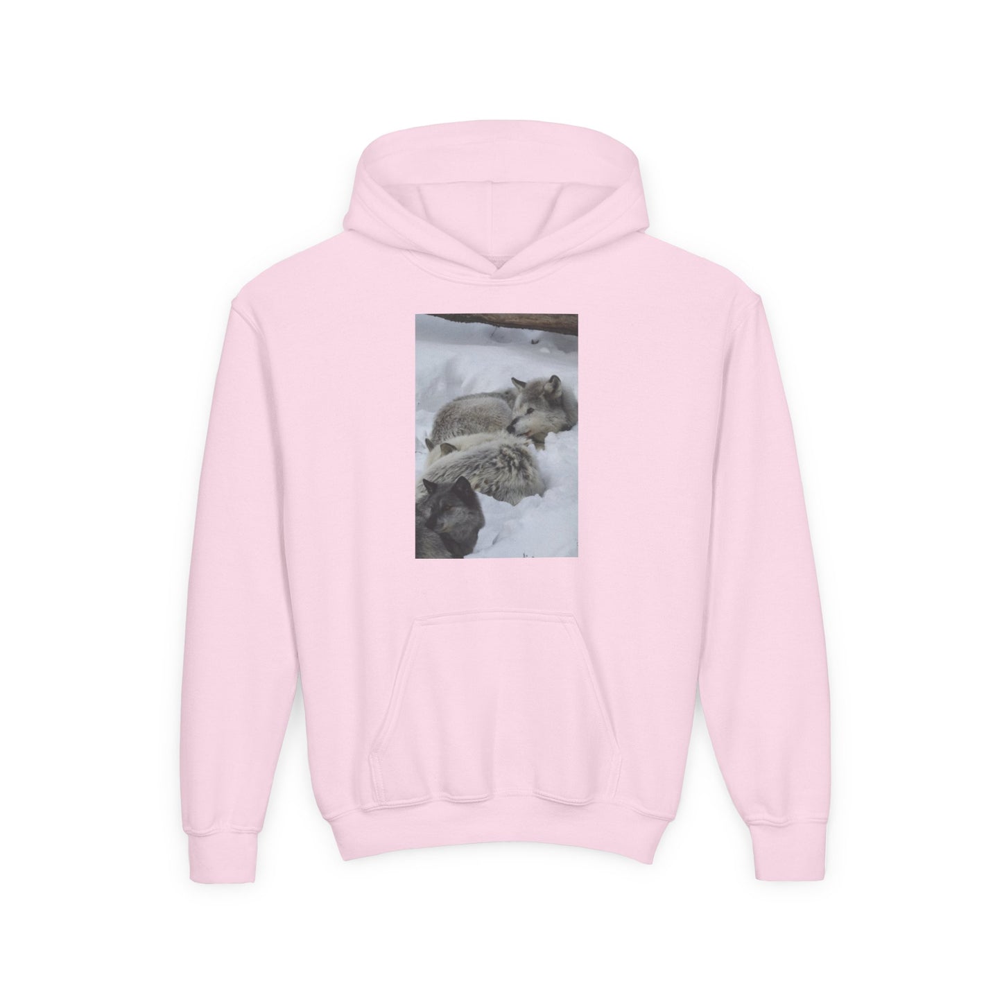 Sleeping Foxes Youth Hoodie | Wildlife Photography, Snow Scene