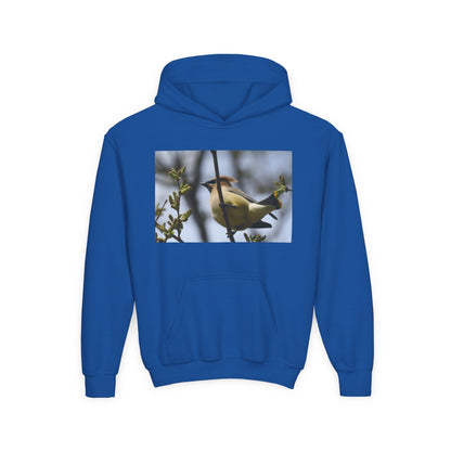 Cedar Waxwing Bird Hoodie | Youth Hooded Sweatshirt