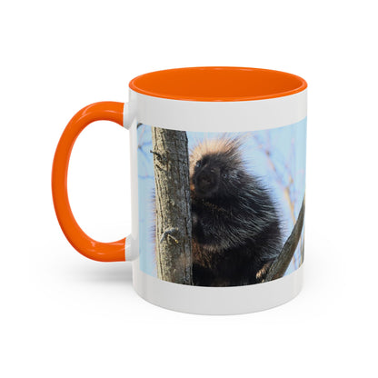 Porcupine Photo Accent Coffee Mug — Wildlife Nature Lover Gift (11/15oz)