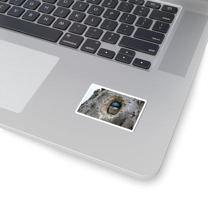 Tree Swallow Sticker — Cute Bird Peeking from Nest Decal