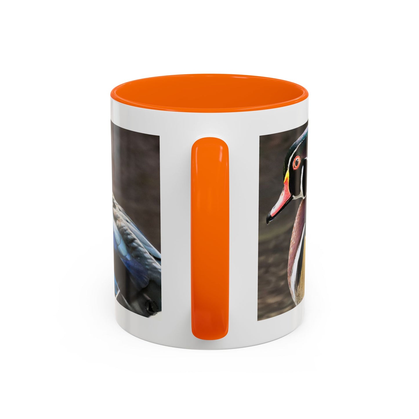 Wood Duck Accent Coffee Mug — Colorful Waterfowl Photo Mug (11/15 oz)