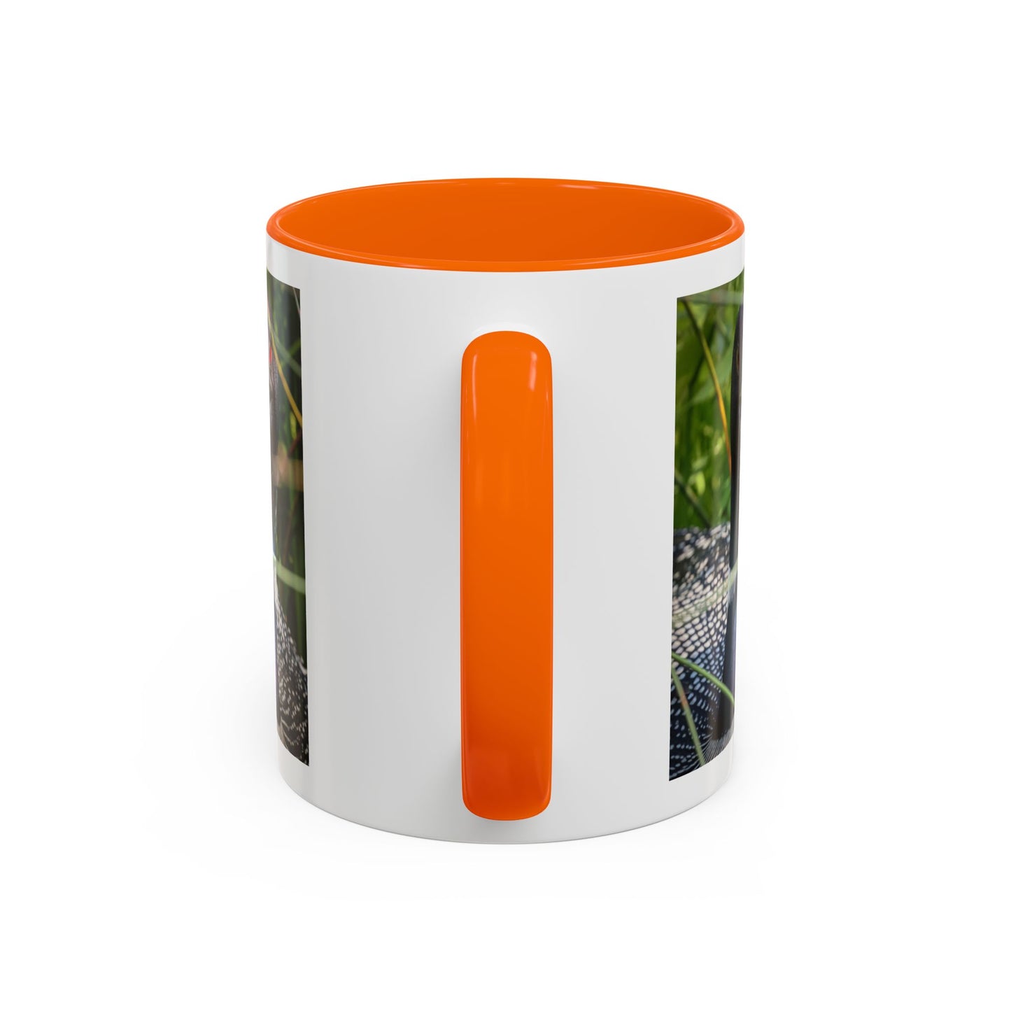 Common Loon Photo Accent Coffee Mug (11/15oz)