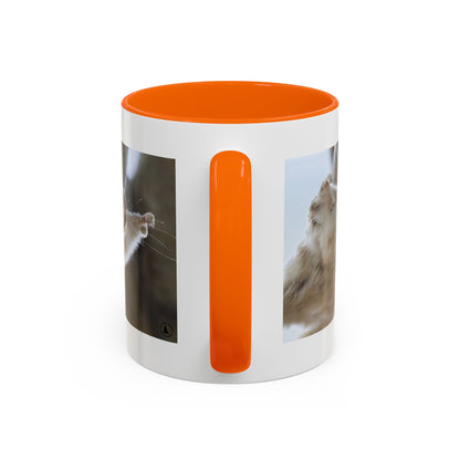 Flying Squirrel Accent Coffee Mug — Cute Wildlife Photo Mug (11/15oz)