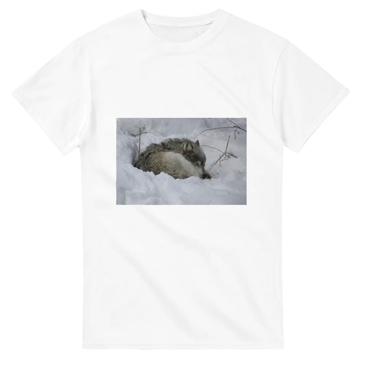 198fe709-2e34-402d-8888-0092ee108cbb