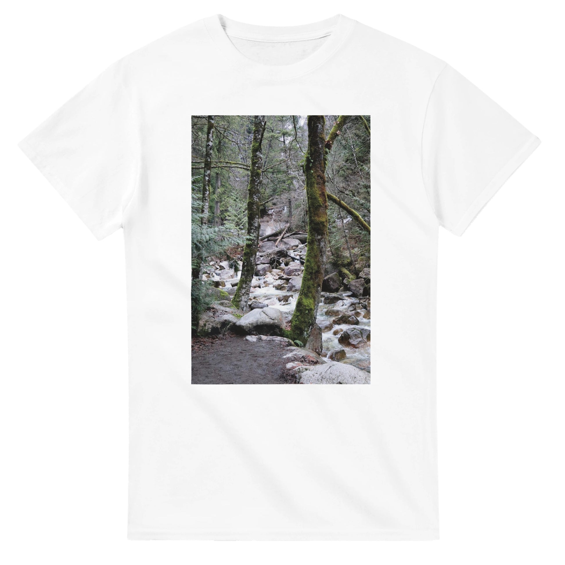 19b9a5a4-0bca-45fb-a844-d47dc5434230
