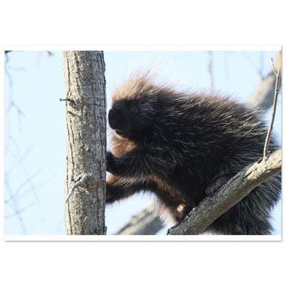 1a00cf6b-1fd6-4227-95ed-b9fb2b89cdb9