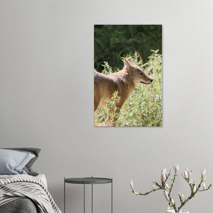 1a2af704-eee3-4b36-810a-2e687af3656c