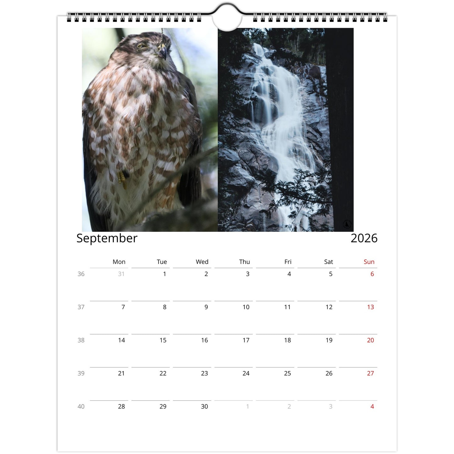 1a6d3bd5-1e9f-4f7d-9c12-83d2f210a819