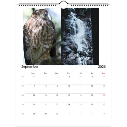 1a6d3bd5-1e9f-4f7d-9c12-83d2f210a819