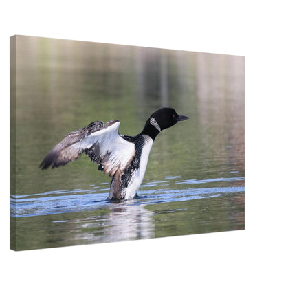 1ab0cafa-e0cc-4a6d-a356-d48b788df3d9