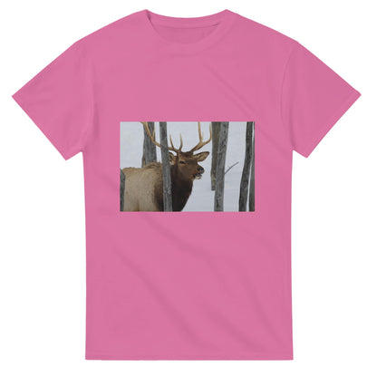 1cbc3c48-df7d-493f-b2dc-57aecd546271