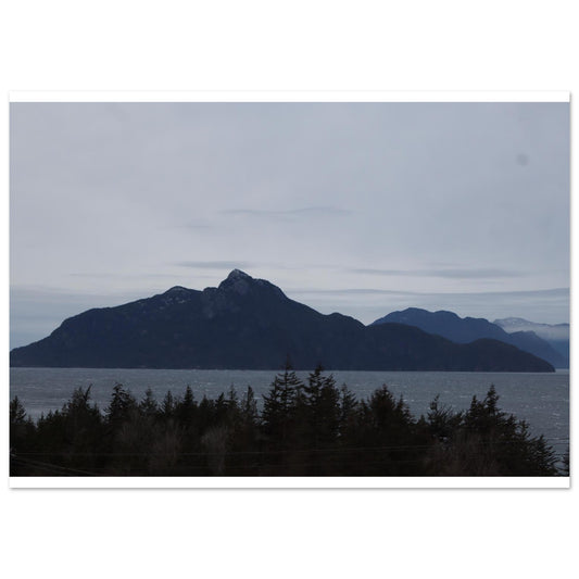 1d598417-fdfb-417c-be7b-385fa2642a21