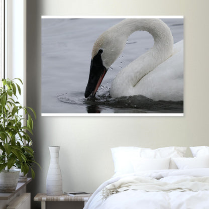 1dbcbba4-0ef3-4906-8633-acef7a5d164a