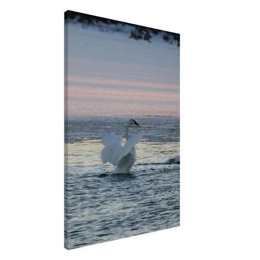 1dcd3ae8-b97c-4105-85e5-e3db17d35aec