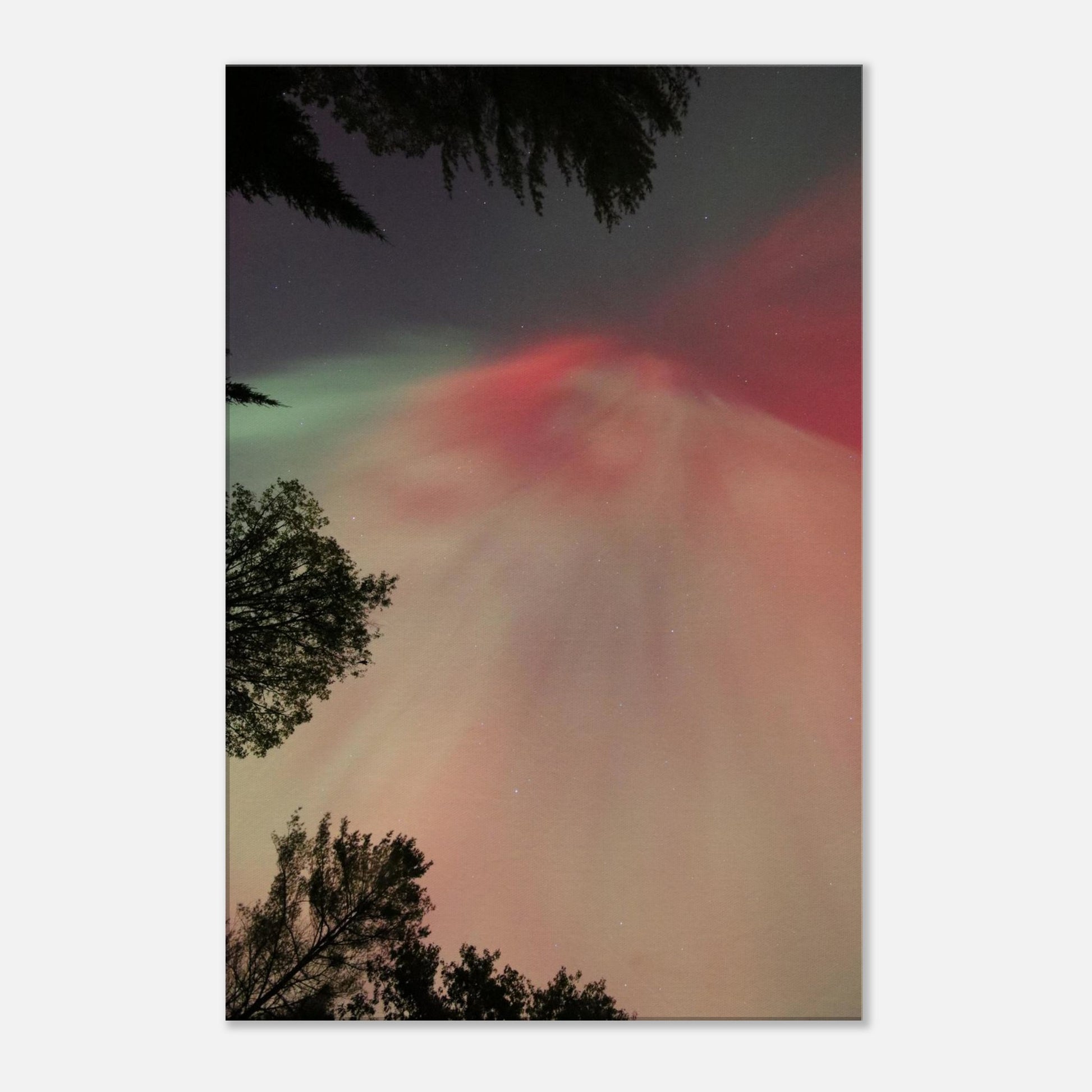 1df92ba7-1731-428c-ae12-b04ba0d15905