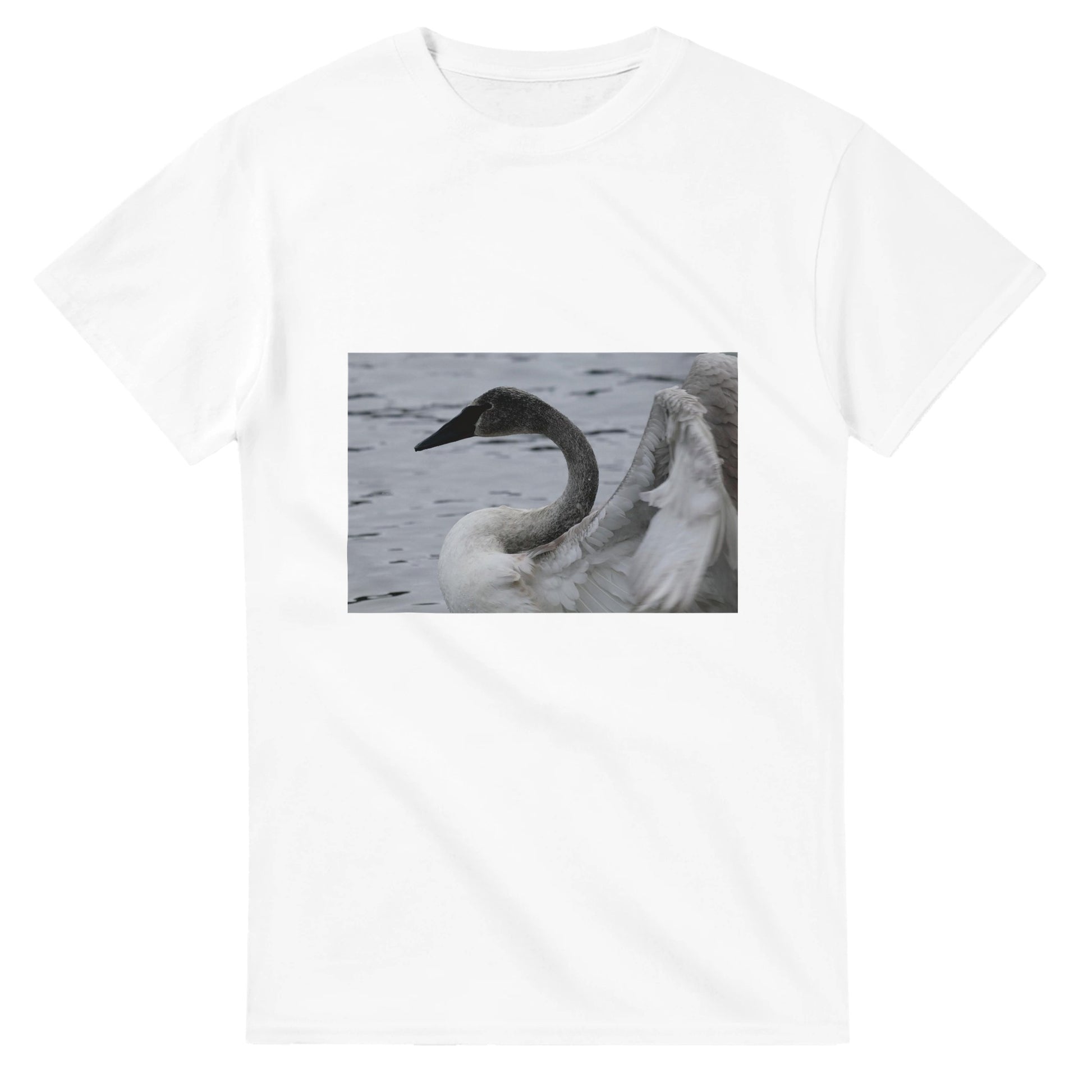 1dfe5f41-03d1-4001-b877-4b5df08a4831