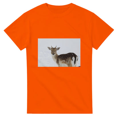 1e350c06-a4e5-46e5-a9fe-51b764aa2c0e