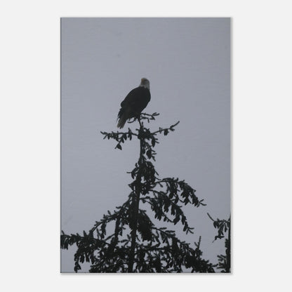 1e90b003-87aa-43bf-84c4-949f3a95fdc5