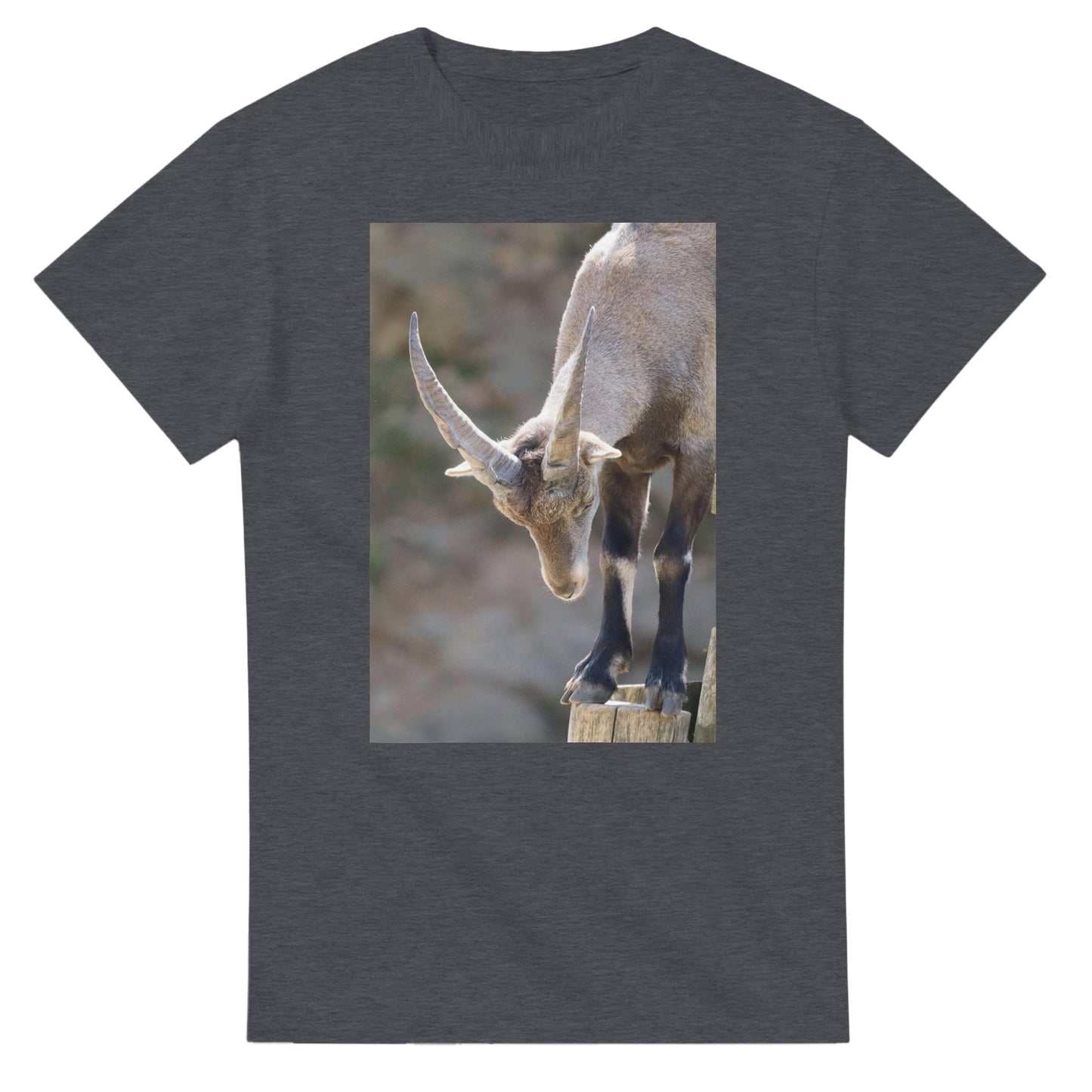 1e9cbb66-eab3-4b86-8d03-646024d5b579