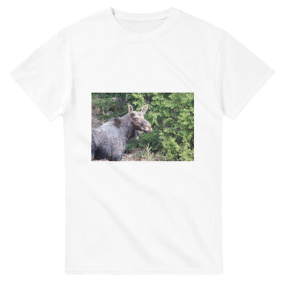 1eab669f-6eda-4e6a-b2f8-2b54e3dfaf13