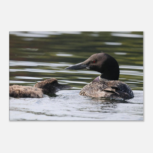 1f1ee1b5-8ba8-4217-b186-01ded04cc5ce