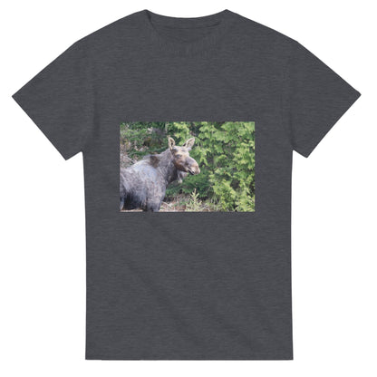 1f64653a-25b6-43fc-84c0-eb5a12272d82