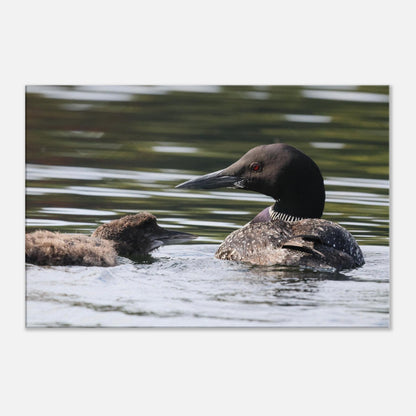 1fa1c259-0164-4081-b826-aa3191e9130a