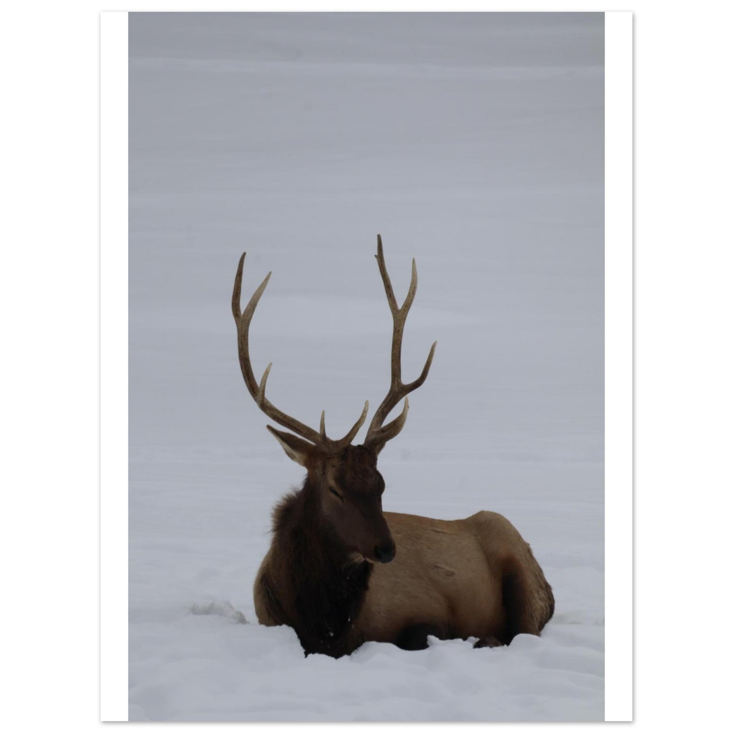 1fb32751-8c5c-4647-ba2d-22bf8621cad0