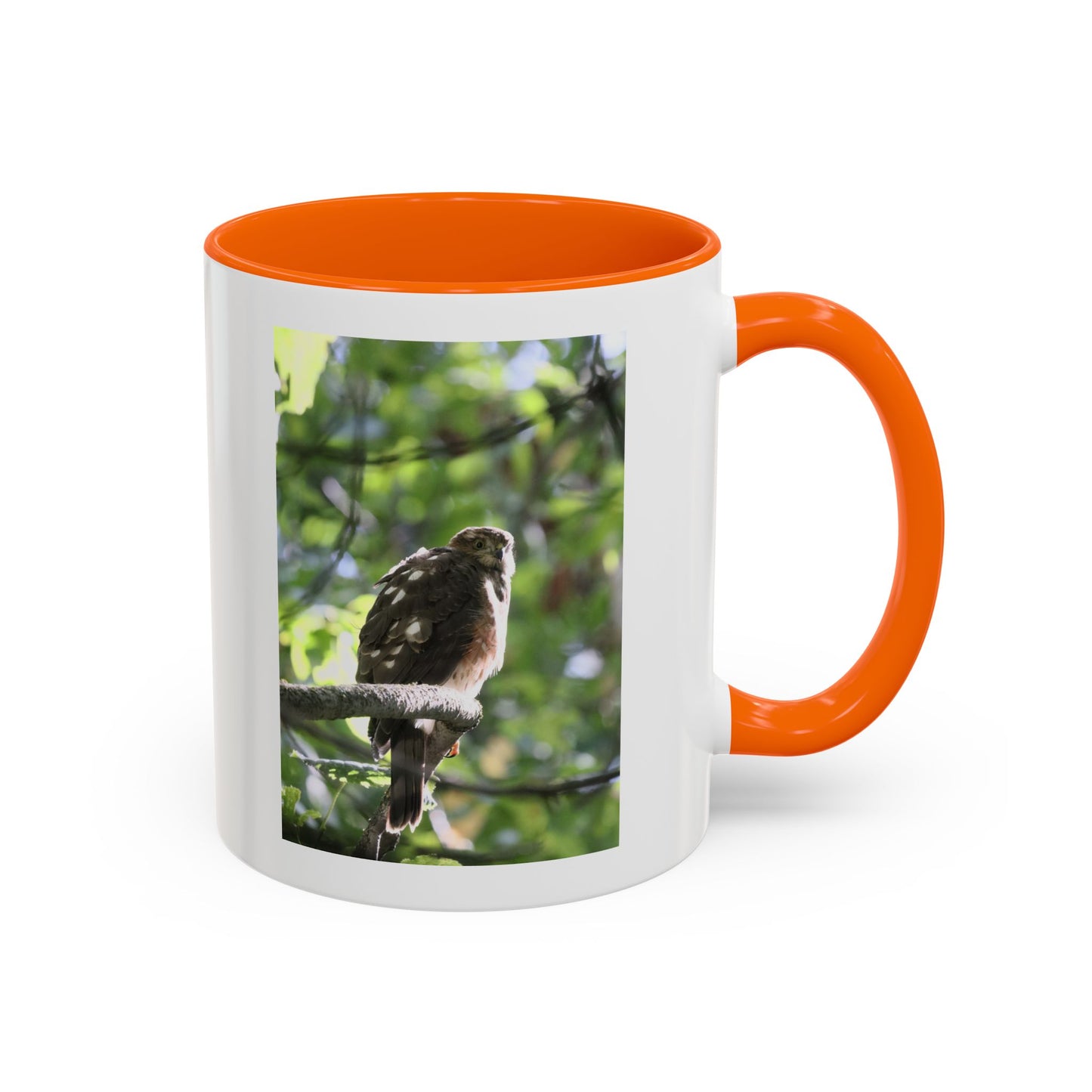 Hawk Perch Accent Coffee Mug (11/15 oz) – Nature Bird Photography
