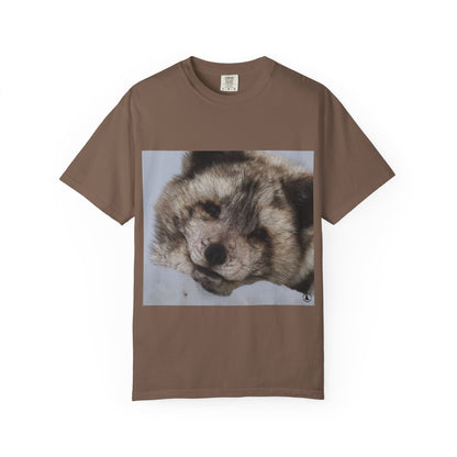 Arctic Tranquility: Serene Wildlife Portrait, Arctic Fox Close-Up Photographyphotography shirts