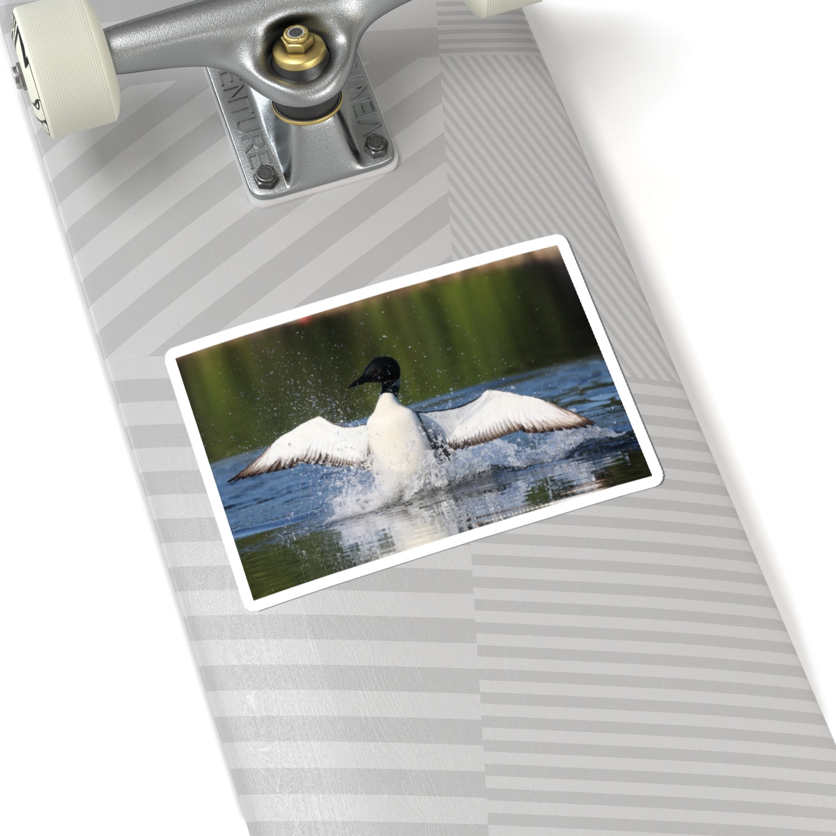 Common Loon Kiss-Cut Sticker — Splashing Loon Lake Scene