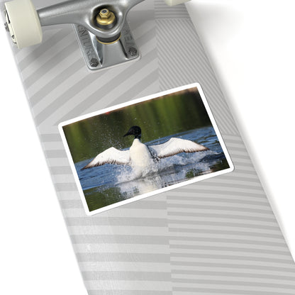Common Loon Kiss-Cut Sticker — Splashing Loon Lake Scene