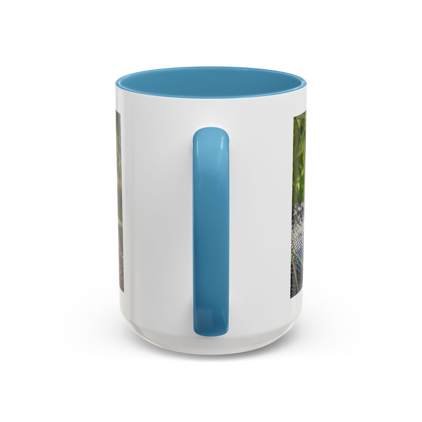 Common Loon Photo Accent Coffee Mug (11/15oz)