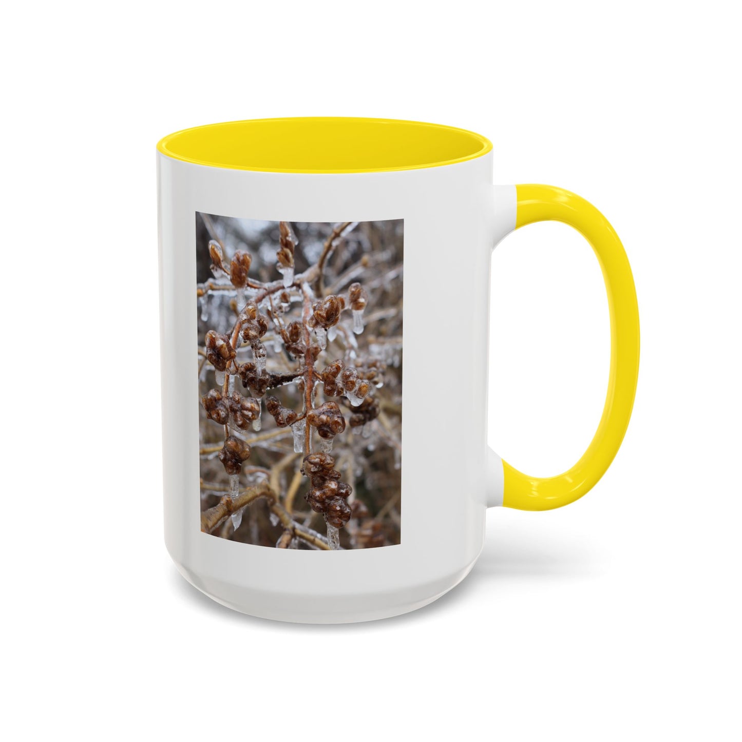 Ice-Coated Berries Accent Coffee Mug (11/15 oz) — Winter Nature Photo