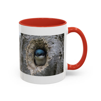 Bluebird in Tree Cavity Accent Coffee Mug — Nature Wildlife Ceramic Mug (11/15oz)