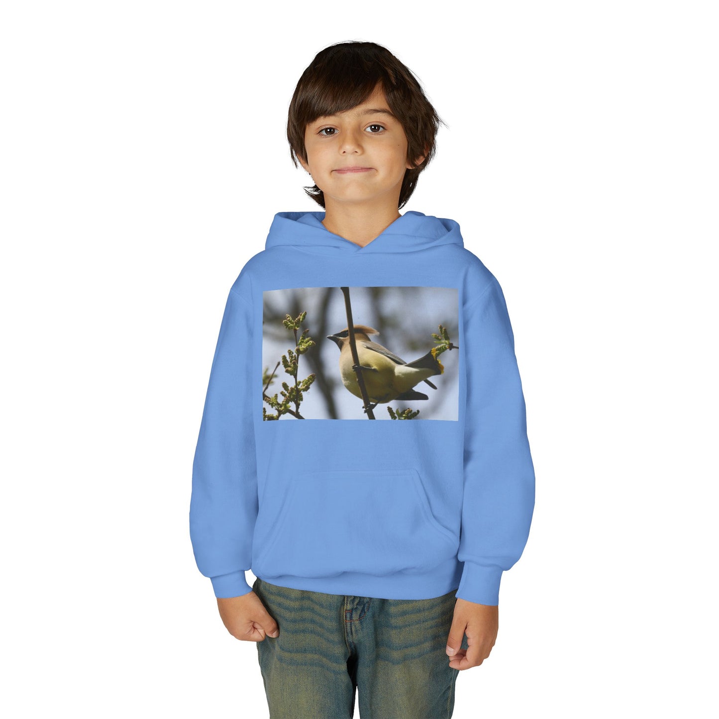 Cedar Waxwing Bird Hoodie | Youth Hooded Sweatshirt