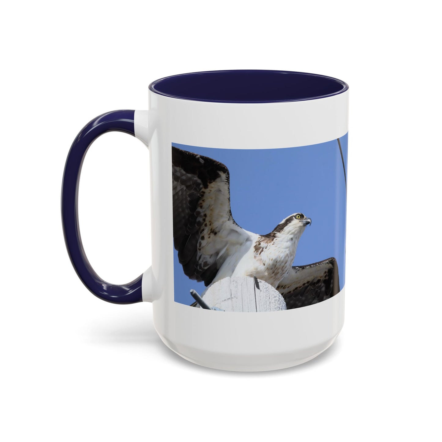 Osprey Photo Accent Coffee Mug – Wildlife Bird Photography Drinkware (11/15 oz)