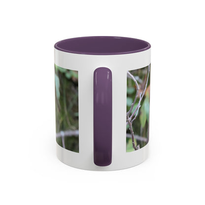 Cute Mink Photo Accent Mug – Wildlife Photography Coffee Cup (11/15 oz)