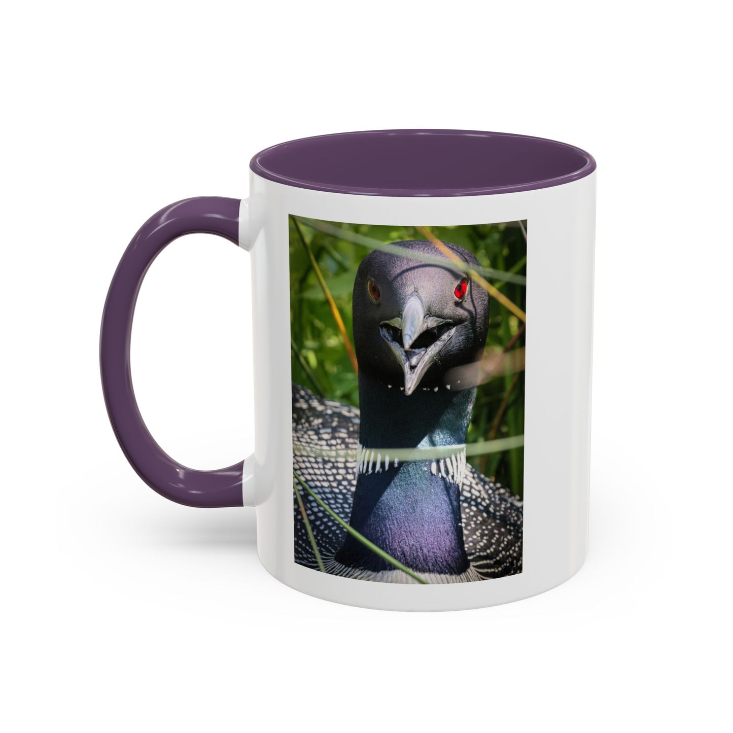 Common Loon Photo Accent Coffee Mug (11/15oz)