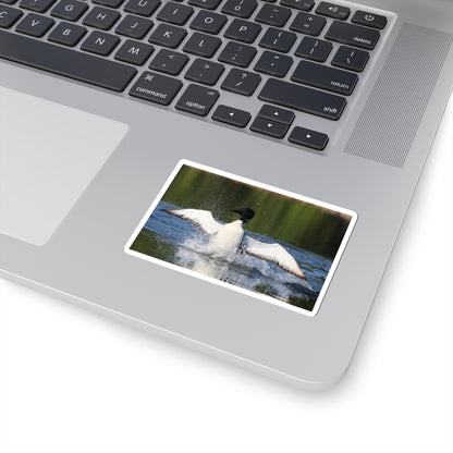 Common Loon Kiss-Cut Sticker — Splashing Loon Lake Scene