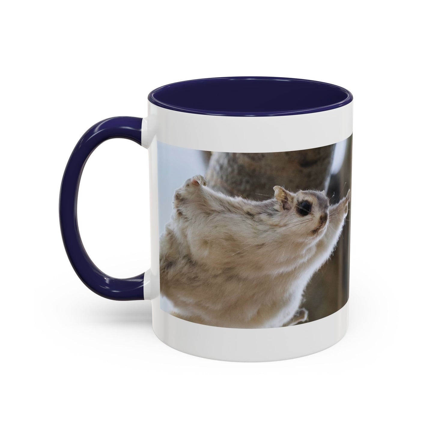 Flying Squirrel Accent Coffee Mug — Cute Wildlife Photo Mug (11/15oz)