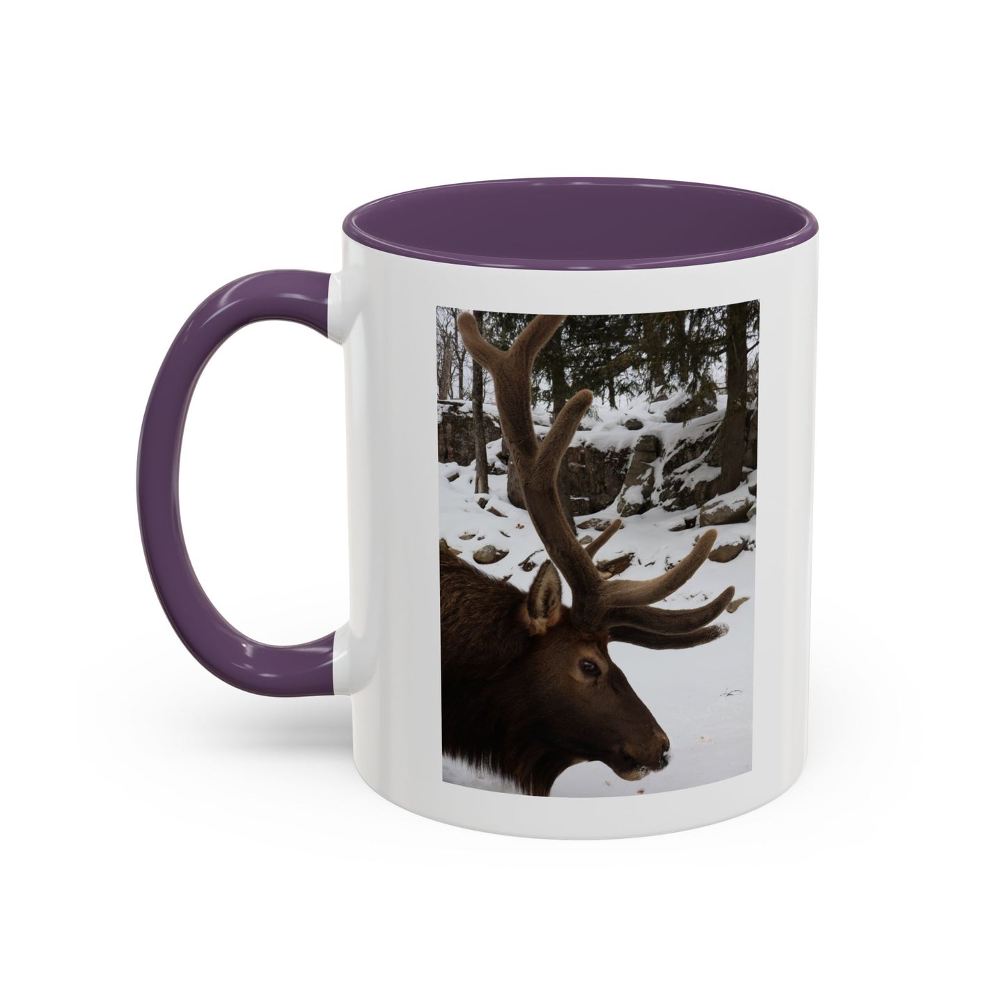 Elk in Snow Accent Coffee Mug — Nature Wildlife Photo Mug (11/15oz)