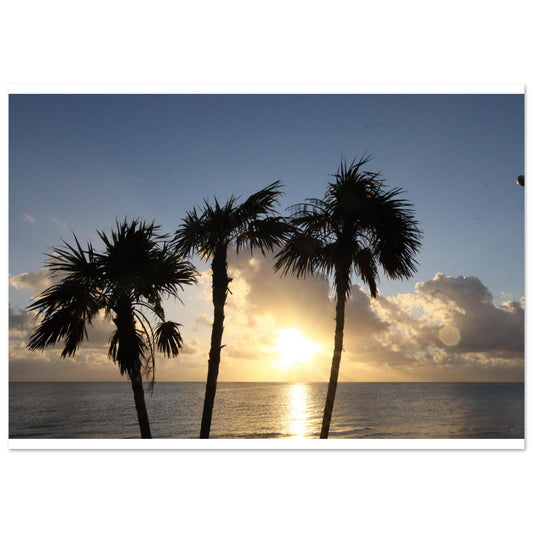 216b473d-42a0-4fcc-a174-22fa4bd356be