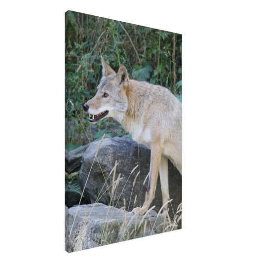 217bb000-deef-425f-8664-d5801e354cd6