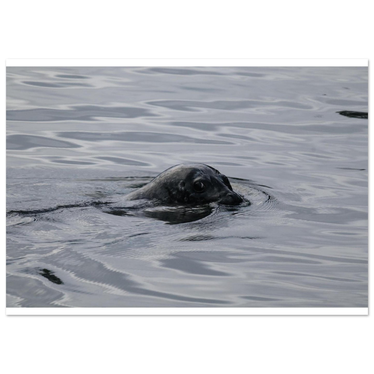 217cd678-e90f-4063-a141-468b471ea6d2