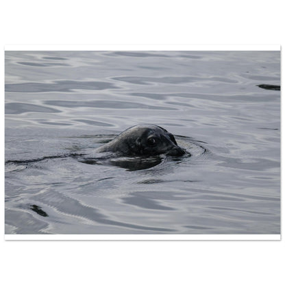 217cd678-e90f-4063-a141-468b471ea6d2