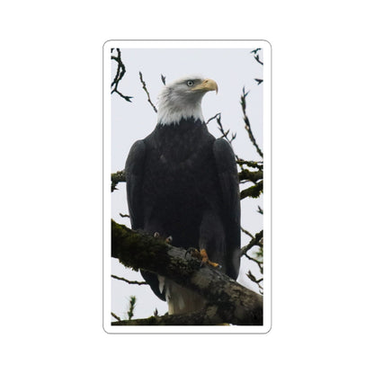 Bald Eagle Photo Kiss-Cut Sticker — Patriotic Wildlife Laptop Decal