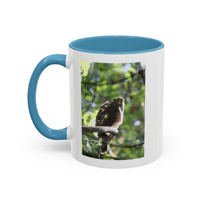 Hawk Perch Accent Coffee Mug (11/15 oz) – Nature Bird Photography